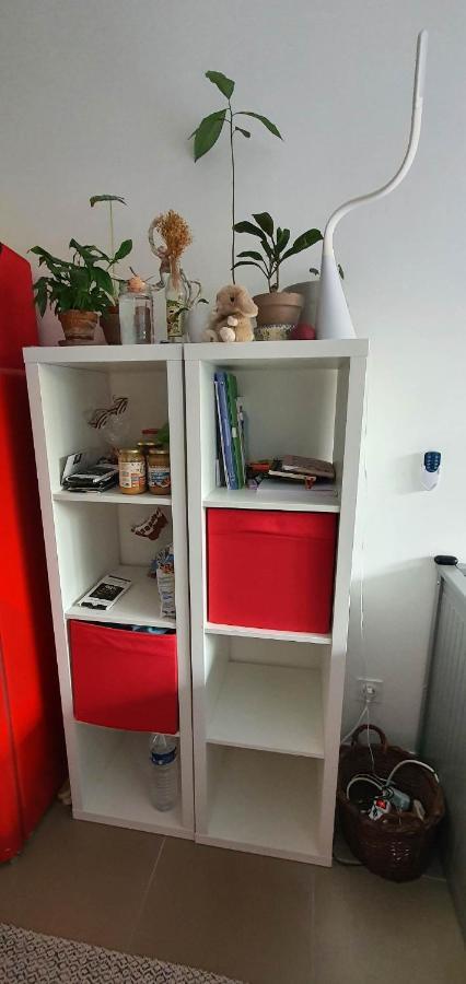 Appartement A 10 Min A Pied De La Plage De ニース エクステリア 写真